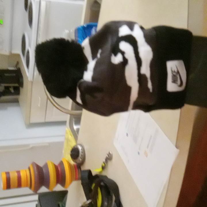 Nike Winter Nike Hat